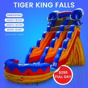 Tiger King Falls
